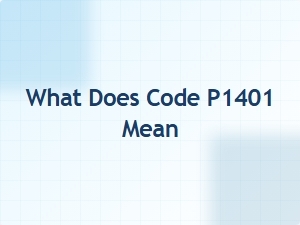 What Does Code P1401 Mean