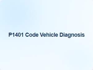 P1401 Code Vehicle Diagnosis Guide