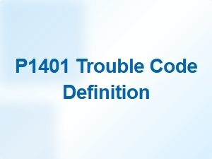 P1401 Code Definition and Diagnosis Guide