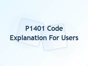 P1401 Code Explanation for Users
