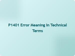 P1401 Error Explanation and Meaning