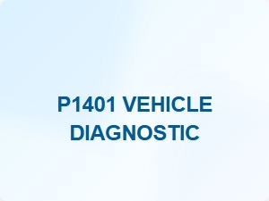 Code P1401 Vehicle Diagnostic Information