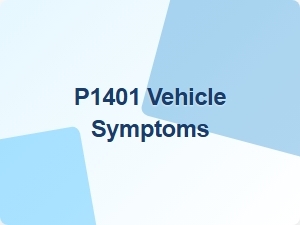 Code P1401 Vehicle Symptoms Explained