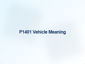 Meaning of Code P1401 Vehicle